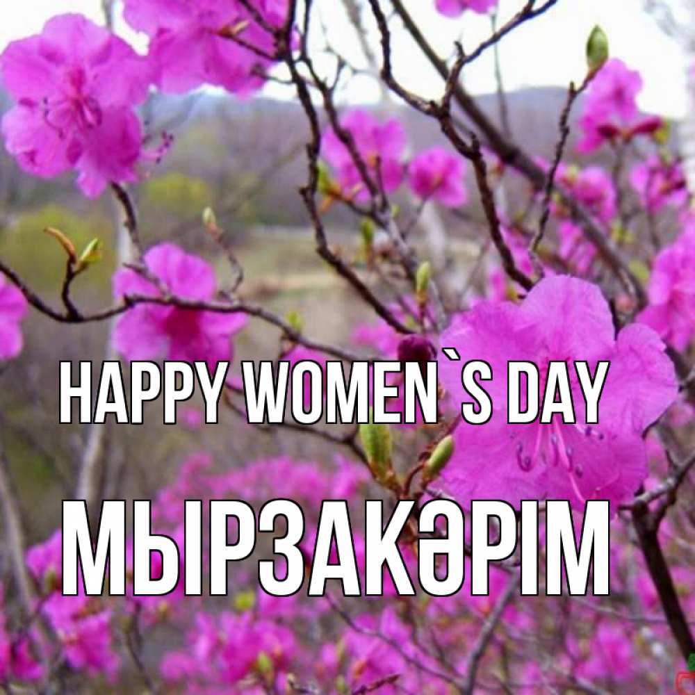 Greetings card с именем, Мырзакәрім happy women`s day международный женский день Greetings with text for free download 